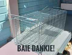 Cat Cage Donated by Mrs. Naude fromÂ De Kelders