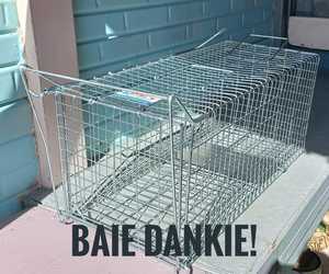 Cat Cage Donated by Mrs. Naude fromÂ De Kelders