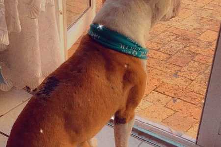 271553018_4402231766553626_8041410880432168645_n_1642148946