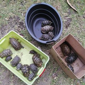 271849384_234915412149945_3224466774699722519_n_1642164399