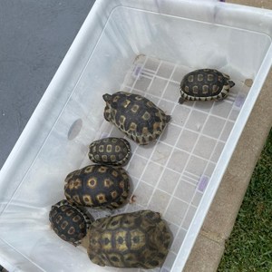 271858439_234916165483203_8807554426921524525_n_1642164400