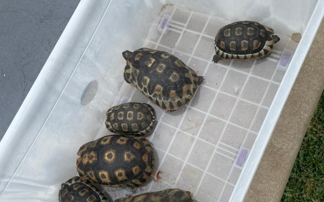 271858439_234916165483203_8807554426921524525_n_1642164400