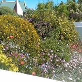 Arniston - Element Ecosystems - Xplorioâ„¢ L'Agulhas