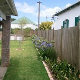 Napier - Element Ecosystems - Xplorioâ„¢ L'Agulhas