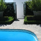 Farm - Element Ecosystems - Xplorioâ„¢ L'Agulhas