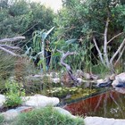 Natural Pool - Element Ecosystems - Xplorioâ„¢ L'Agulhas
