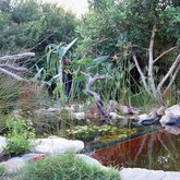 Natural Pool - Element Ecosystems - Xplorioâ„¢ L'Agulhas