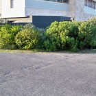 Arniston - Element Ecosystems - Xplorioâ„¢ L'Agulhas