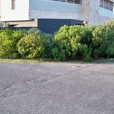 Arniston - Element Ecosystems - Xplorioâ„¢ L'Agulhas