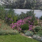 Fynbos - Element Ecosystems - Xplorioâ„¢ L'Agulhas