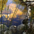 Natural Pool - Element Ecosystems - Xplorioâ„¢ L'Agulhas