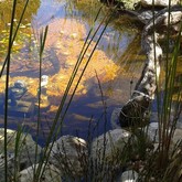 Natural Pool - Element Ecosystems - Xplorioâ„¢ L'Agulhas
