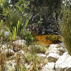 Natural Pool - Element Ecosystems - Xplorioâ„¢ L'Agulhas