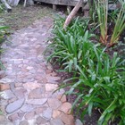 Rock Path - Element Ecosystems - Xplorioâ„¢ L'Agulhas