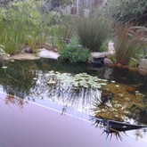 Natural Pool - Element Ecosystems - Xplorioâ„¢ L'Agulhas