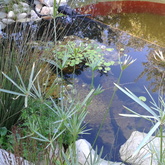 Natural Pool - Element Ecosystems - Xplorioâ„¢ L'Agulhas