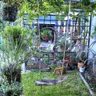 Bredasdorp - Element Ecosystems - Xplorioâ„¢ L'Agulhas