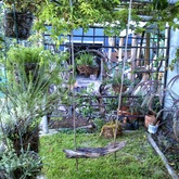 Bredasdorp - Element Ecosystems - Xplorioâ„¢ L'Agulhas