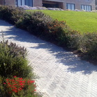 Bredasdorp - Element Ecosystems - Xplorioâ„¢ L'Agulhas