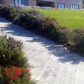 Bredasdorp - Element Ecosystems - Xplorioâ„¢ L'Agulhas