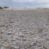 Agulhas - Africa Tip Trails - Xplorioâ„¢ L'Agulhas