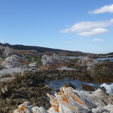 Agulhas - Africa Tip Trails - Xplorioâ„¢ L'Agulhas