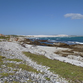 Agulhas - Africa Tip Trails - Xplorioâ„¢ L'Agulhas