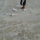 Agulhas - Africa Tip Trails - Xplorioâ„¢ L'Agulhas Agulhas - Africa Tip Trails - Xplorioâ„¢ L'Agulhas