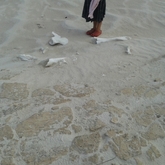 Agulhas - Africa Tip Trails - Xplorioâ„¢ L'Agulhas