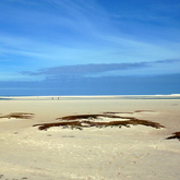 Arniston - Africa Tip Trails - Xplorioâ„¢ L'Agulhas