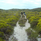 Arniston - Africa Tip Trails - Xplorioâ„¢ L'Agulhas