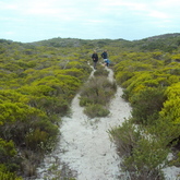 Arniston - Africa Tip Trails - Xplorioâ„¢ L'Agulhas