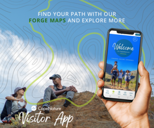 CapeNature goes mobile: Launch of new tourism App for visitors