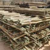 Fynbos Pole Depot Bredasdorp - Xplorioâ„¢ Bredasdorp