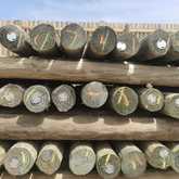 Fynbos Pole Depot Struisbaai - Xplorioâ„¢ Agulhas