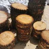 Fynbos Pole Depot Struisbaai - Xplorioâ„¢ Agulhas