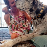 Pet sitter - connecting with Max in Stanford - Grace House and Pet Sitting - Xplorioâ„¢ Gansbaai