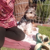 House sitter - Getting some Vit D with Oscar in De Kelders - Grace House and Pet Sitting - Xplorioâ„¢ Gansbaai