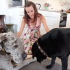 House sitter - Treaty time with Max and Bella in Stanford - Grace House and Pet Sitting - Xplorioâ„¢ Gansbaai