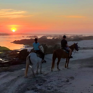 Gansbaai & Pearly Beach Horse Trails