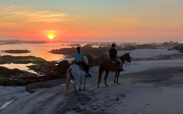 Gansbaai & Pearly Beach Horse Trails