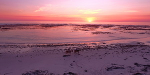 Gansbaai & Pearly Beach Horse Trails