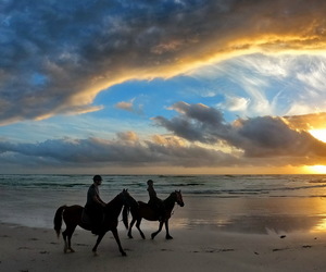 VALENTINE'S CHOC & BUBBLY TRAIL