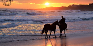 Gansbaai & Pearly Beach Horse Trails