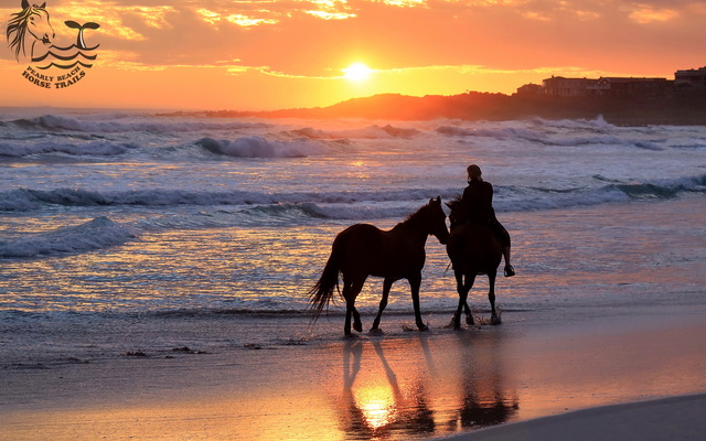 Gansbaai & Pearly Beach Horse Trails
