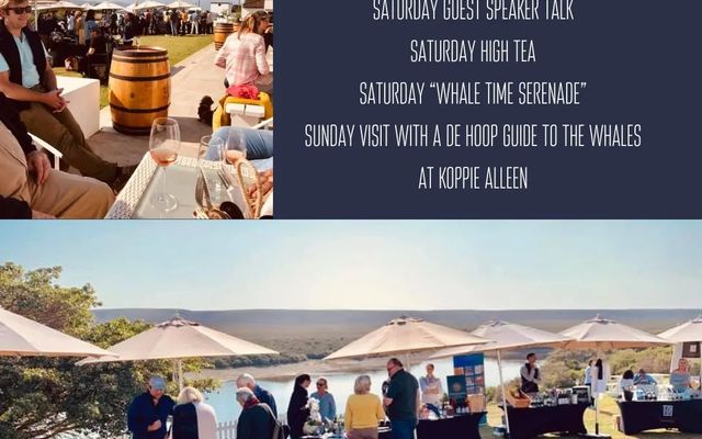 273043611_10159172226826677_7642264984696959529_n_1643786624 273043611_10159172226826677_7642264984696959529_n_1643786624