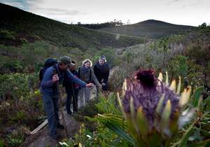 Nature Guide Position on the Fynbos Trail