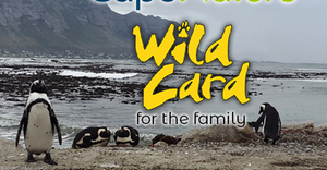 Question 2: CapeNature â€œWin a Wild Cardâ€ Competition 2022