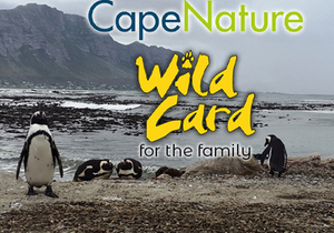 Question 2: CapeNature â€œWin a Wild Cardâ€ Competition 2022