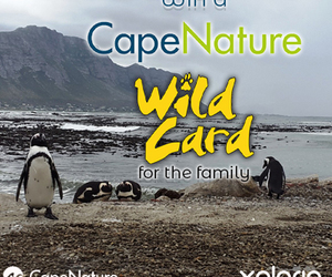 Question 2: CapeNature â€œWin a Wild Cardâ€ Competition 2022